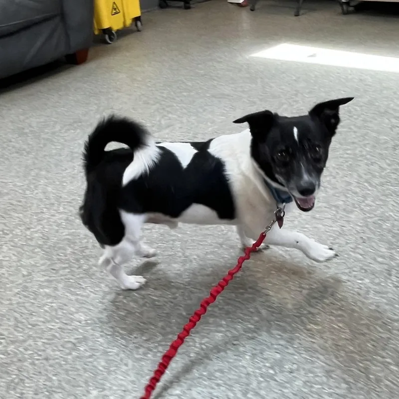 Sebastian thumbnail 4