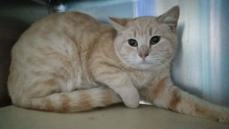 Zeus