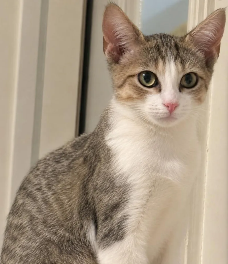 Jimmie thumbnail 2