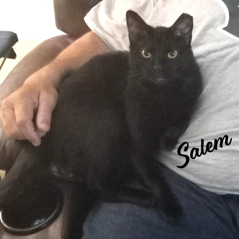 Salem Mrschoomzer