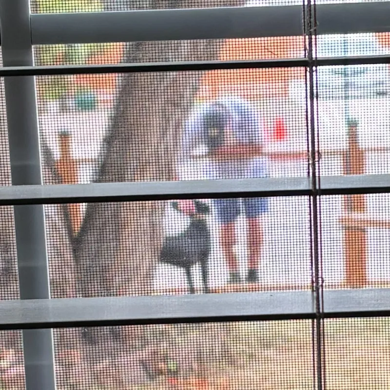 Sam "I Can Hear thumbnail 2