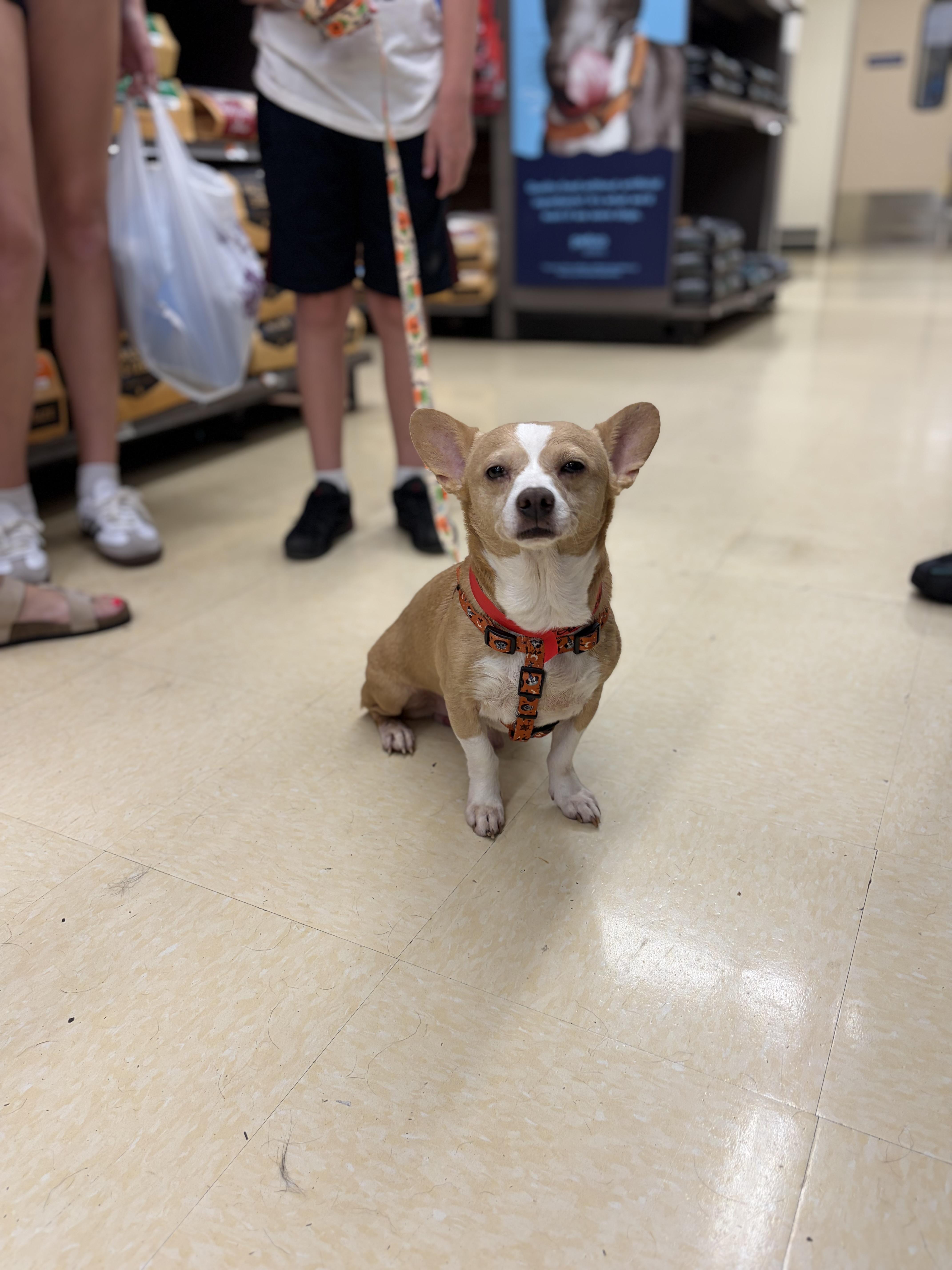 Peanut