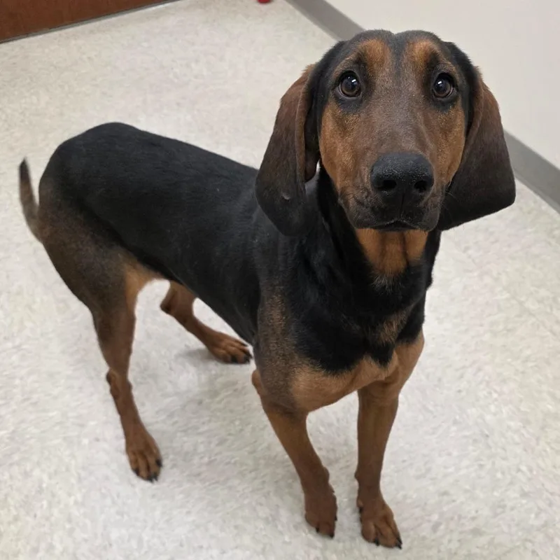 Judge Judy thumbnail 4