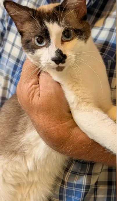 NYXi