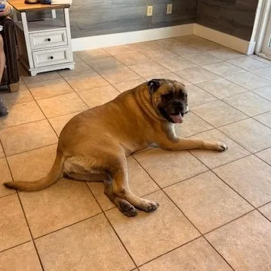 Maddie  Fl thumbnail 4