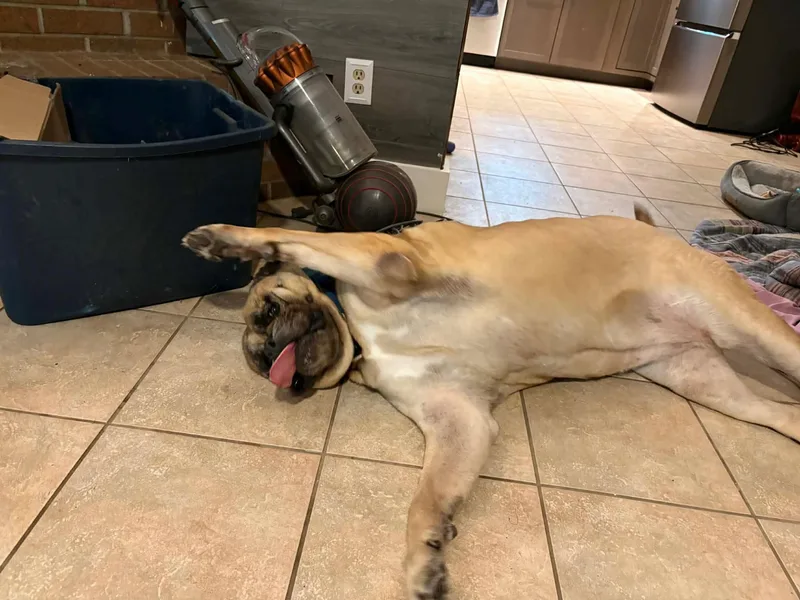 Maddie  Fl thumbnail 5