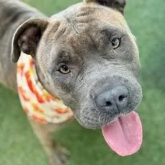 Princess thumbnail 2