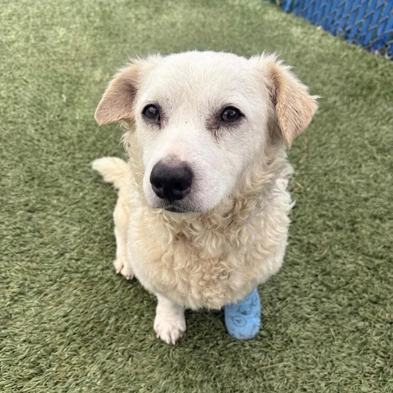 Milo