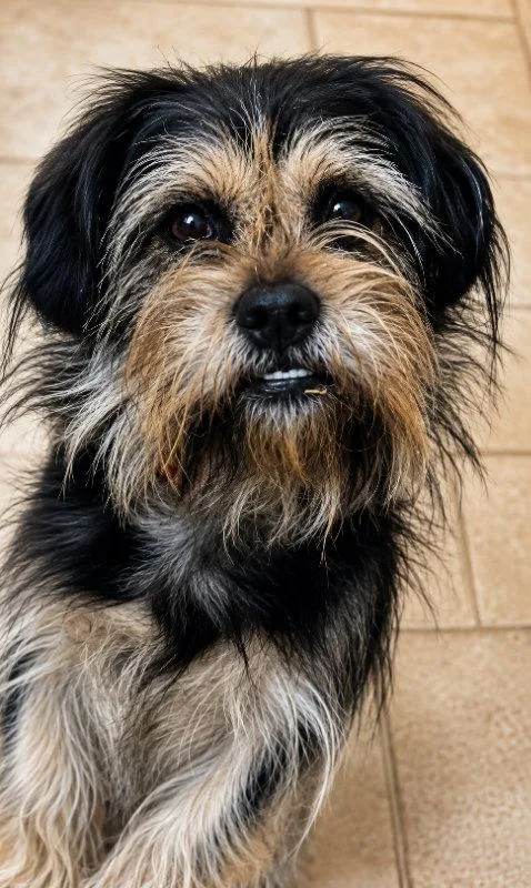 Finley