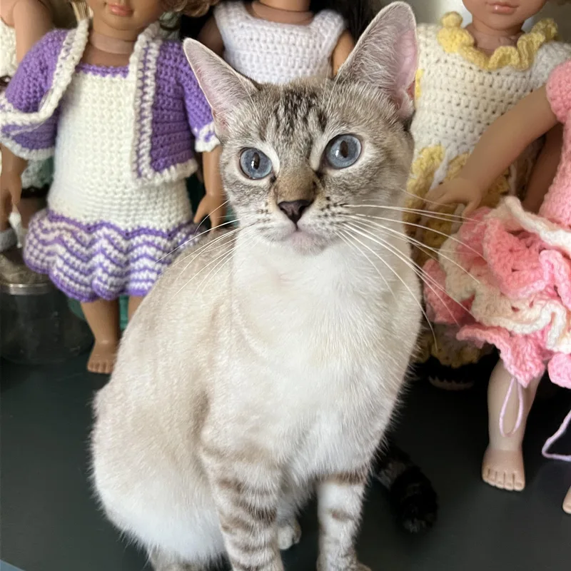 Kiki