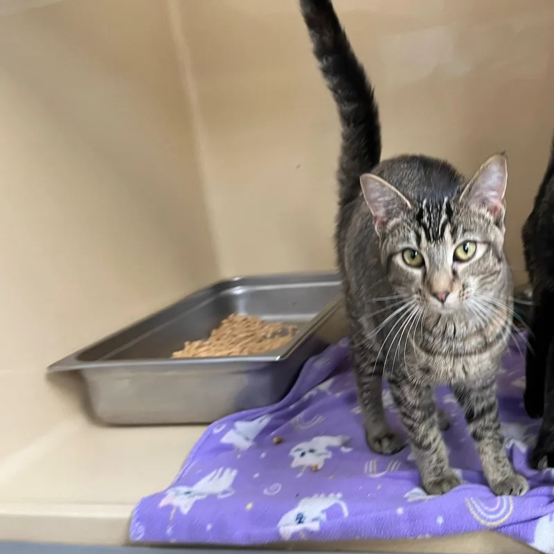 Charmain thumbnail 3