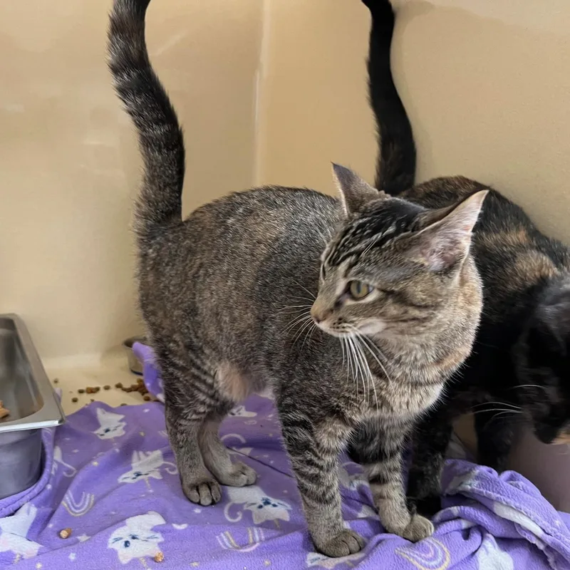 Charmain thumbnail 4