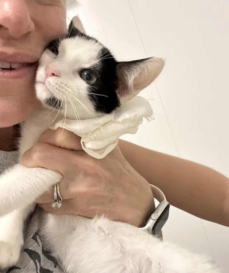 Sweet Janice thumbnail 2