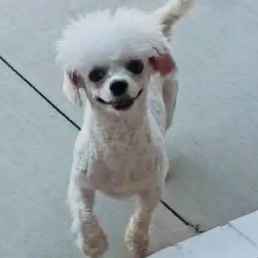 Molly