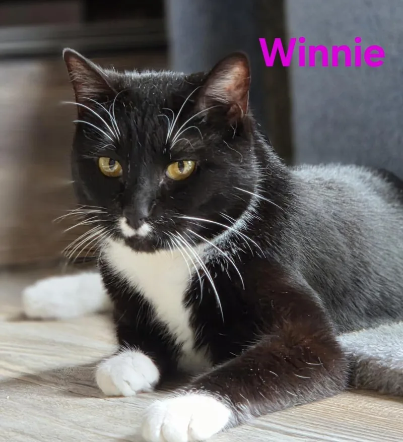 Winnie thumbnail 3