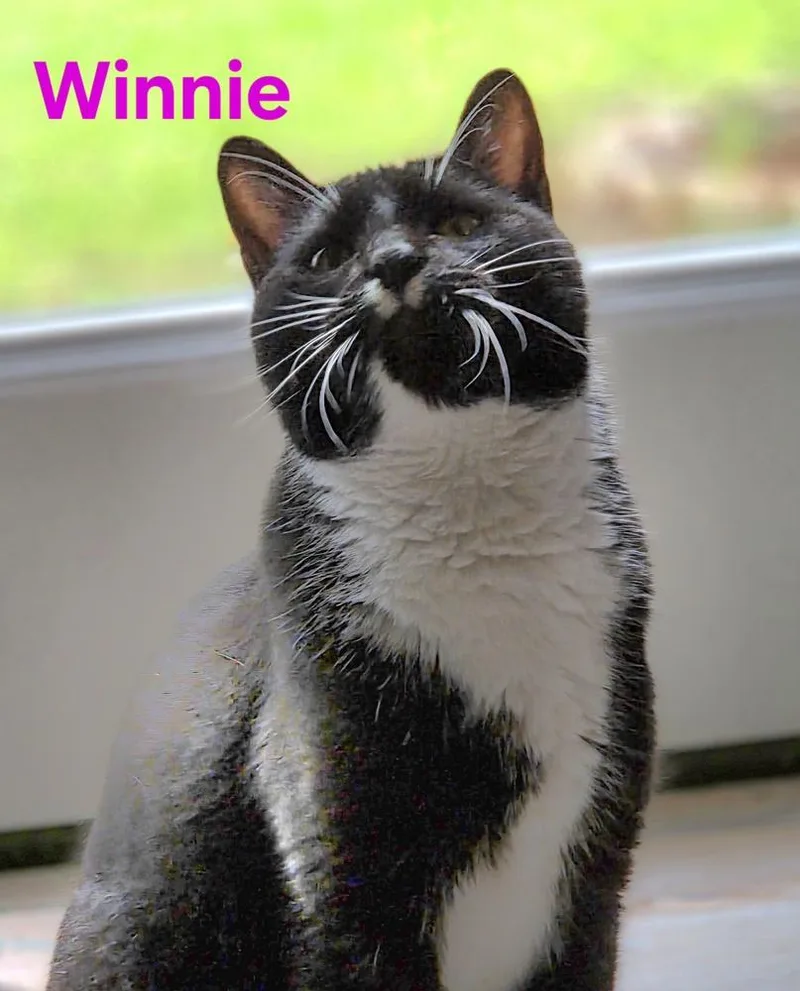 Winnie thumbnail 5