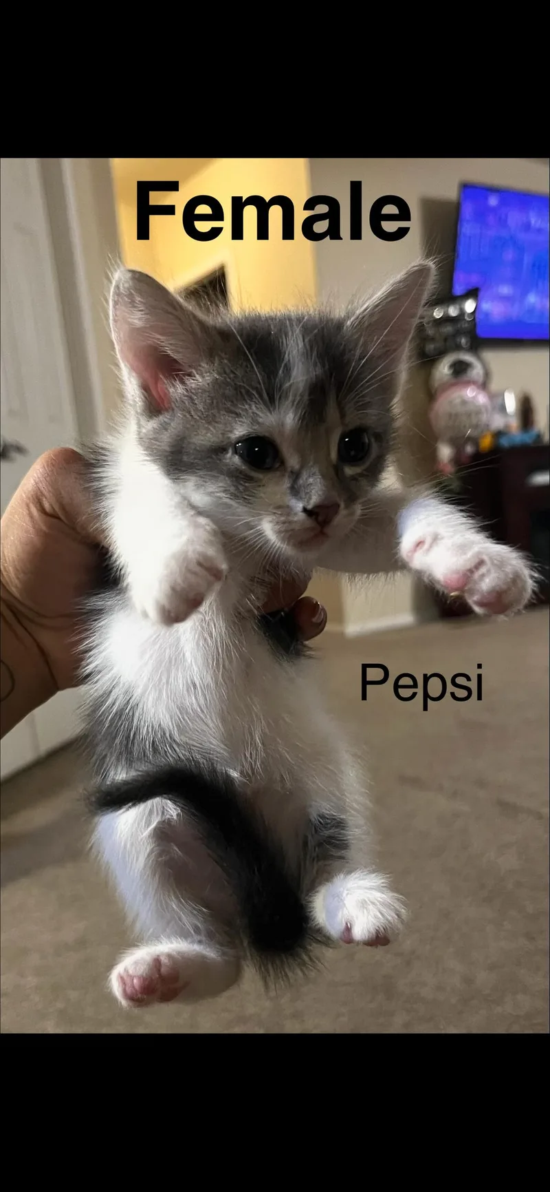 Pepsi thumbnail 2