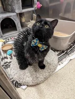 Jimmy Leggs thumbnail 2