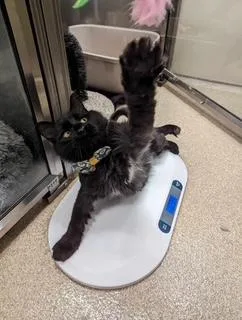 Jimmy Leggs thumbnail 3