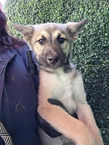 60802588 thumbnail 2