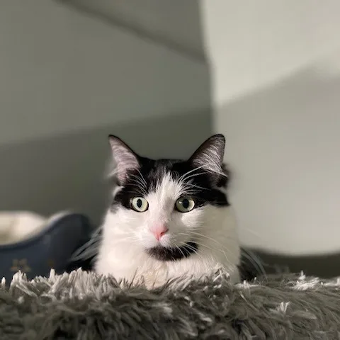 Marilyn & Monroe thumbnail 2