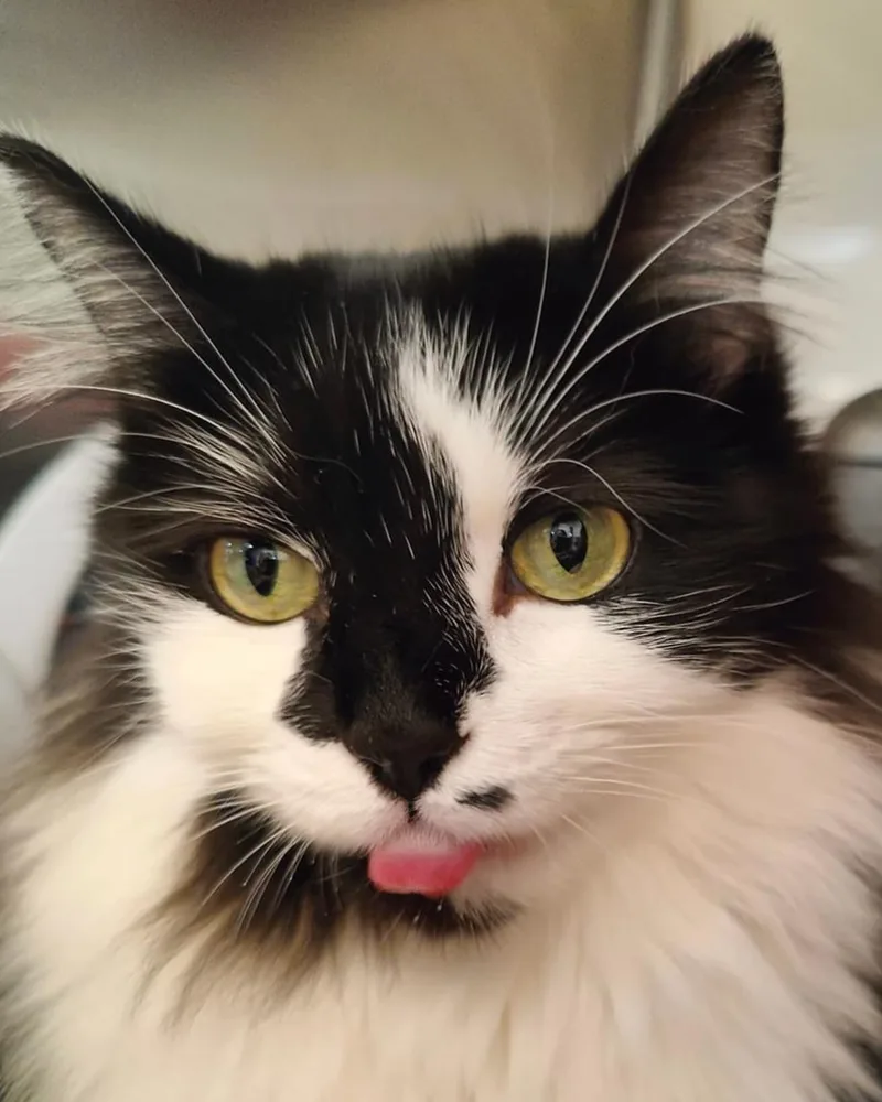 Marilyn & Monroe thumbnail 3