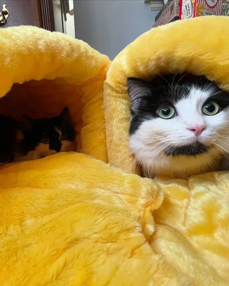 Marilyn & Monroe thumbnail 4