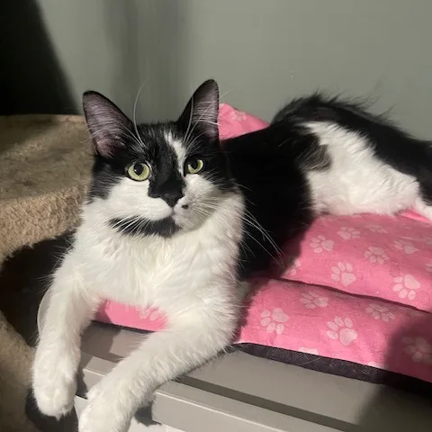 Marilyn & Monroe thumbnail 5