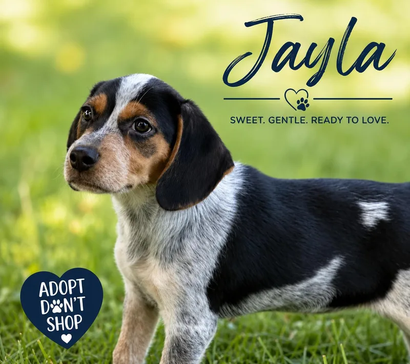 Jayla thumbnail 3