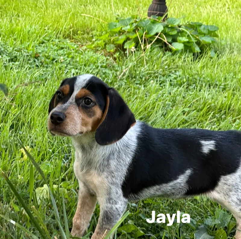 Jayla thumbnail 4