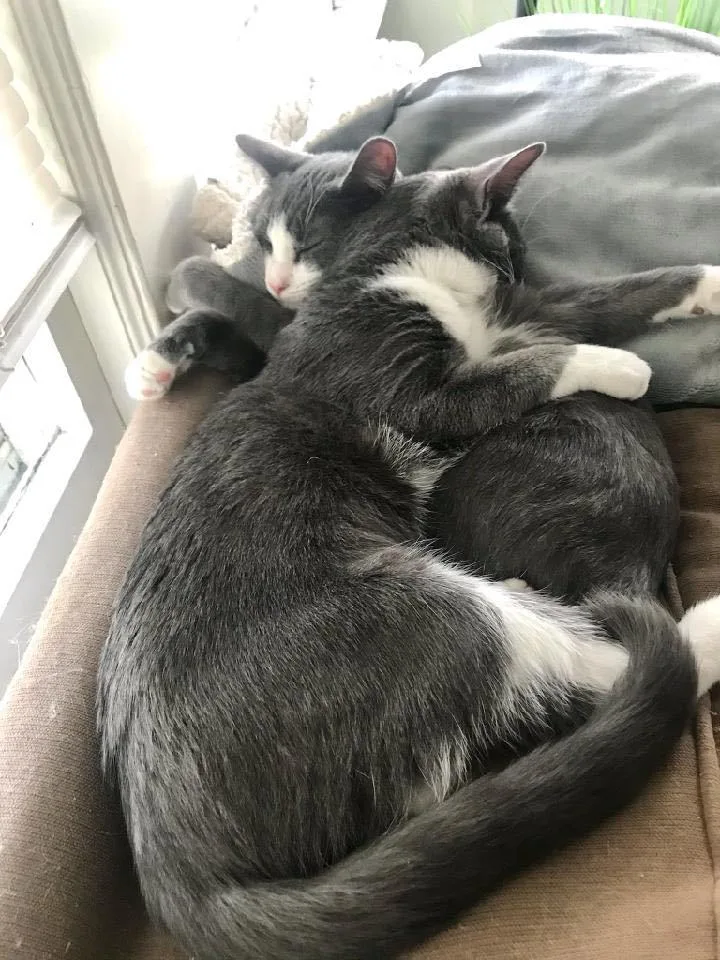 Ari & Dylan  thumbnail 3