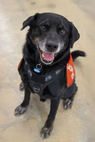 Ceelo Green thumbnail 2