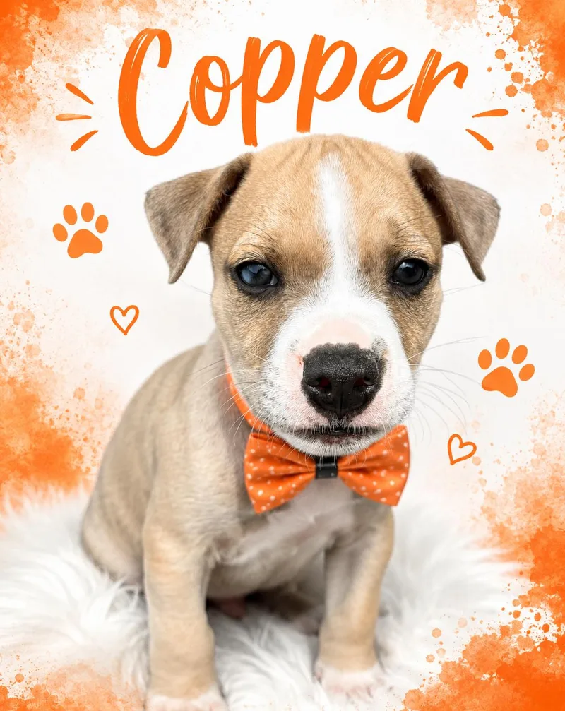 Copper