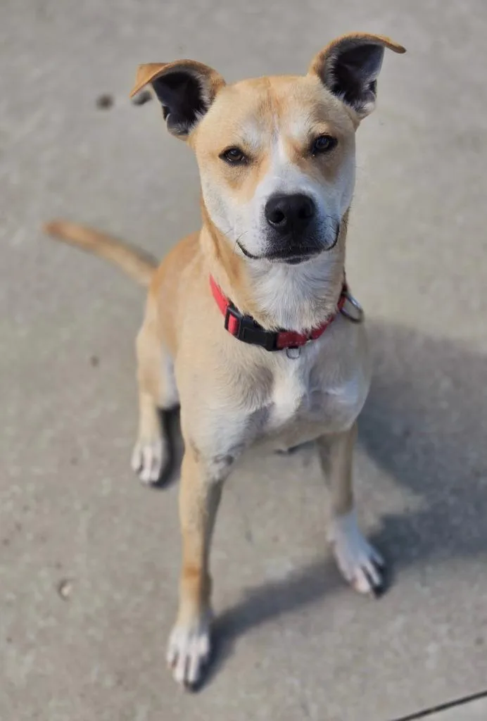 Max