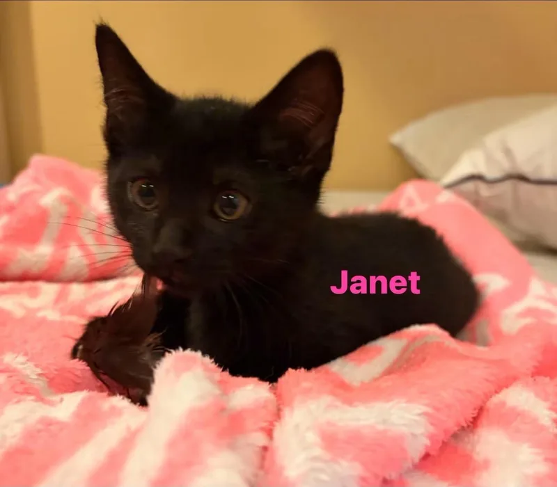 Janet thumbnail 2