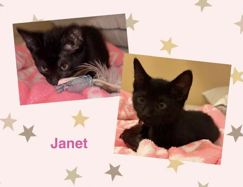 Janet thumbnail 4