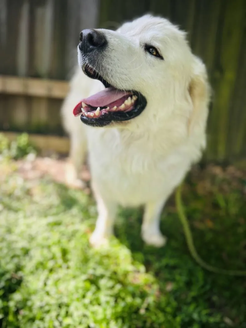 Felicity thumbnail 2