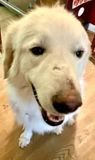 Felicity thumbnail 3