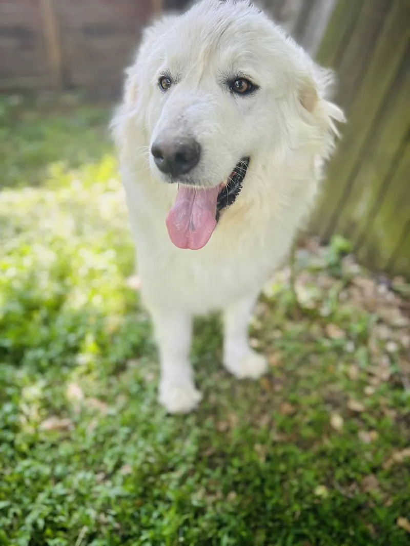 Felicity thumbnail 4