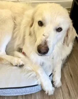 Felicity thumbnail 5