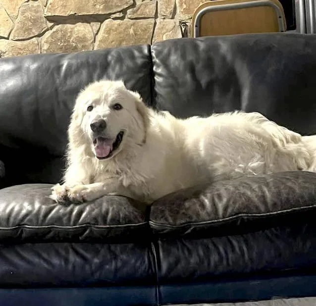 Felicity thumbnail 6