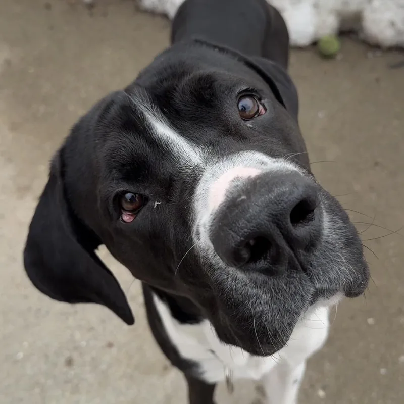 Bane $  See thumbnail 2