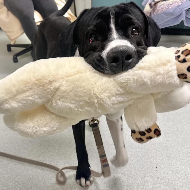 Bane $  See thumbnail 3