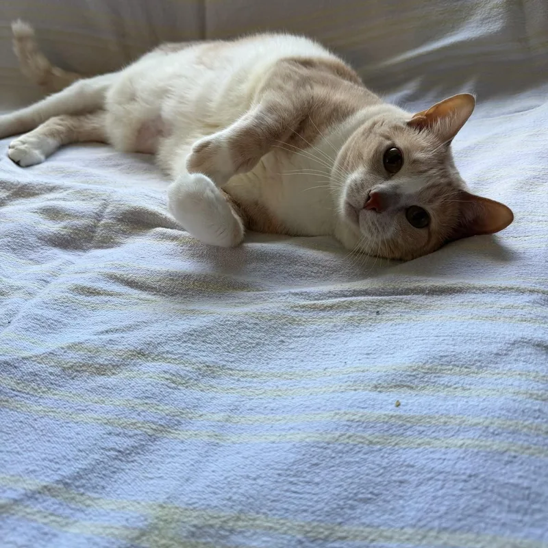 Local In Ne Honey thumbnail 2