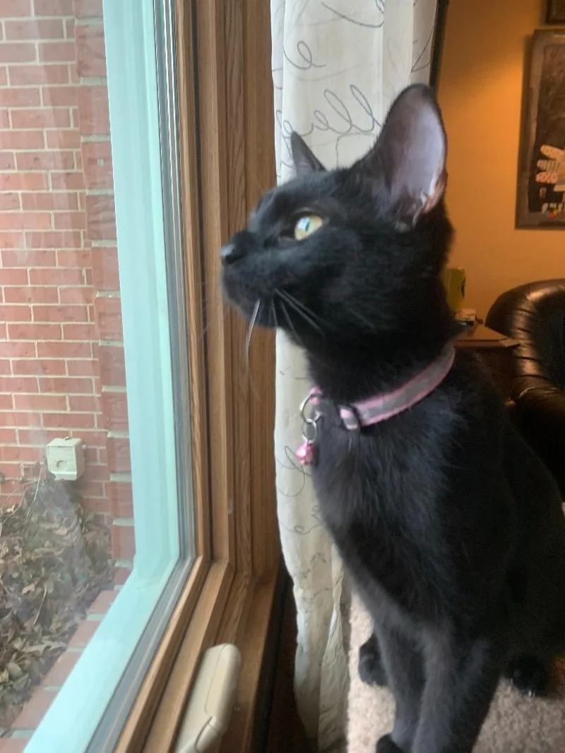 Ava Mae thumbnail 2