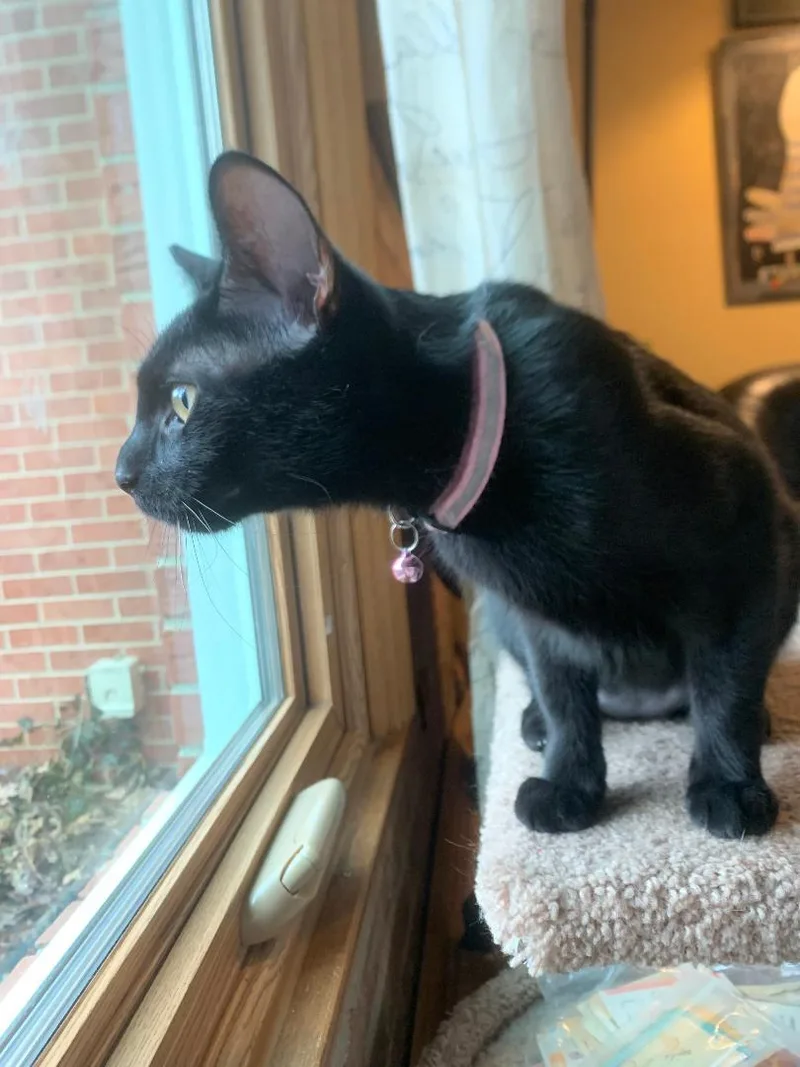 Ava Mae thumbnail 3