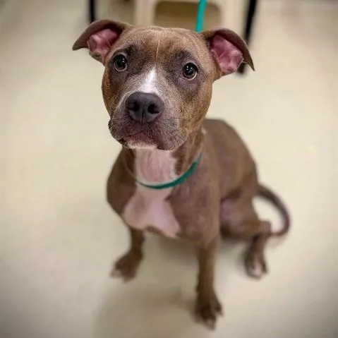 Pretty Peppah