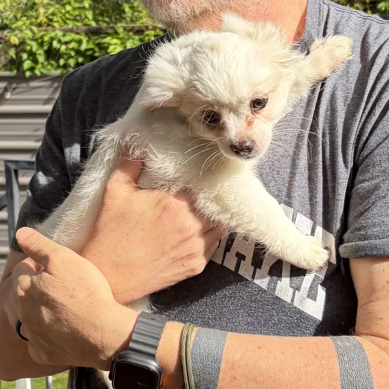 Meet Elaina — The thumbnail 2