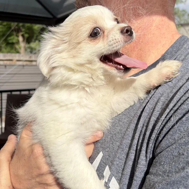 Meet Elaina — The thumbnail 4