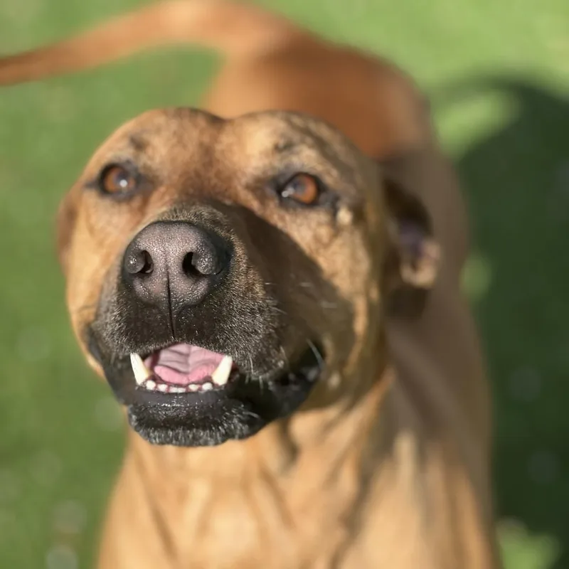 Princess thumbnail 2